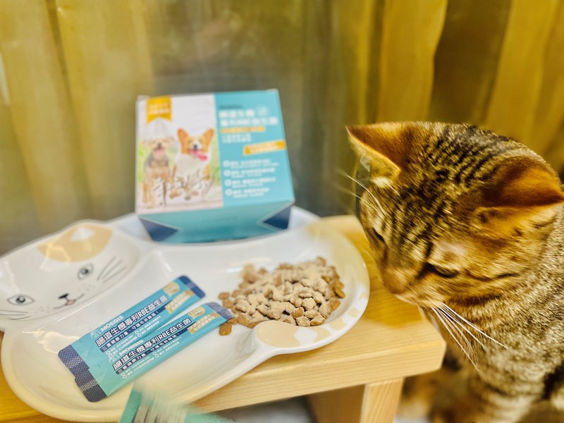 女人知己試用大隊,口碑行銷,部落客行銷,Moegis萌吉 腸道生機專利RBE益生菌,寵物益生菌,專利RBE益生元,專利蔬果酵素,小分子胜肽,藍藻粉,維持免疫力,幫助維持消化道機能,維持正常食慾,改變細菌叢生態,腸胃保健,犬貓適用